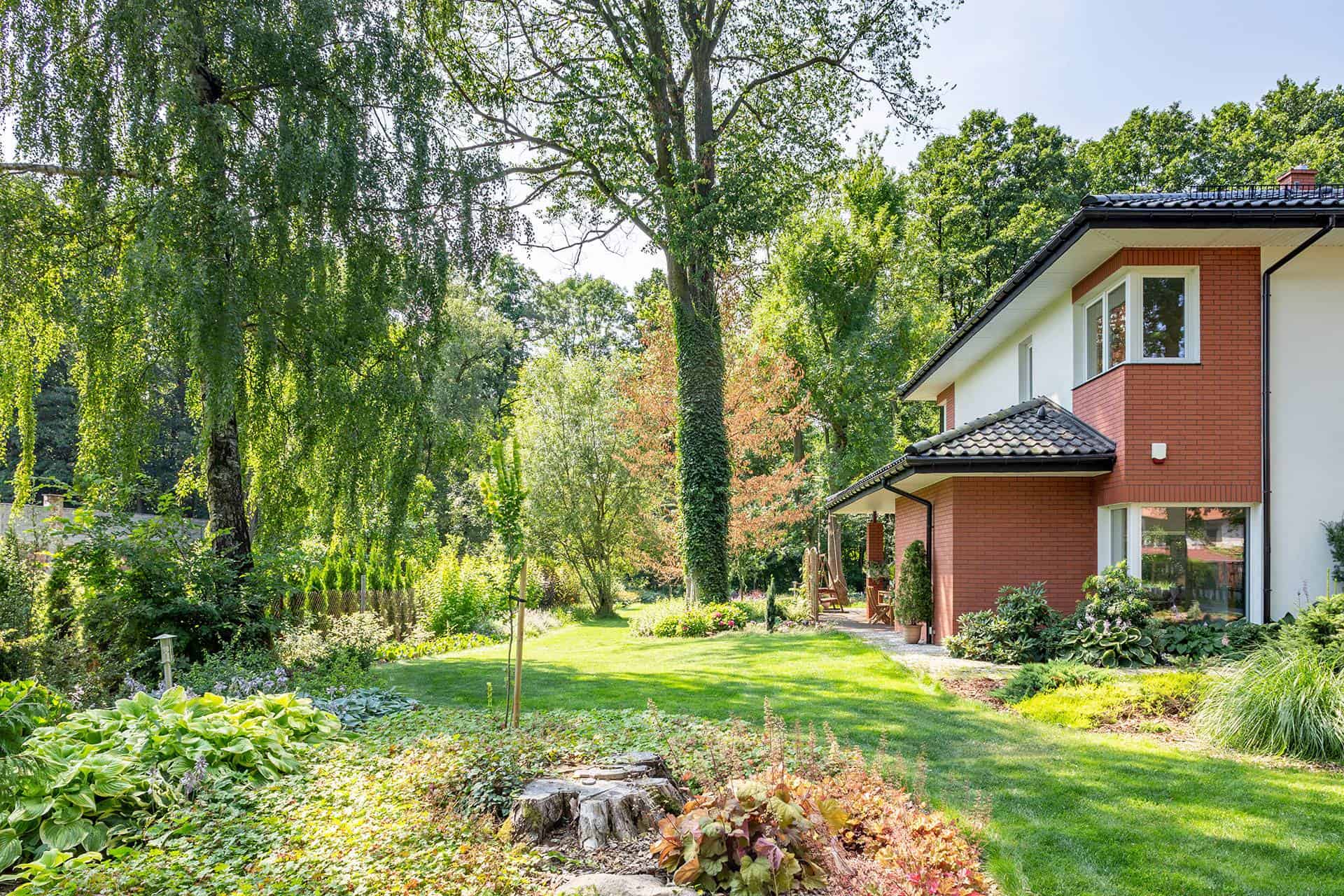 Einfamilienhaus kaufen