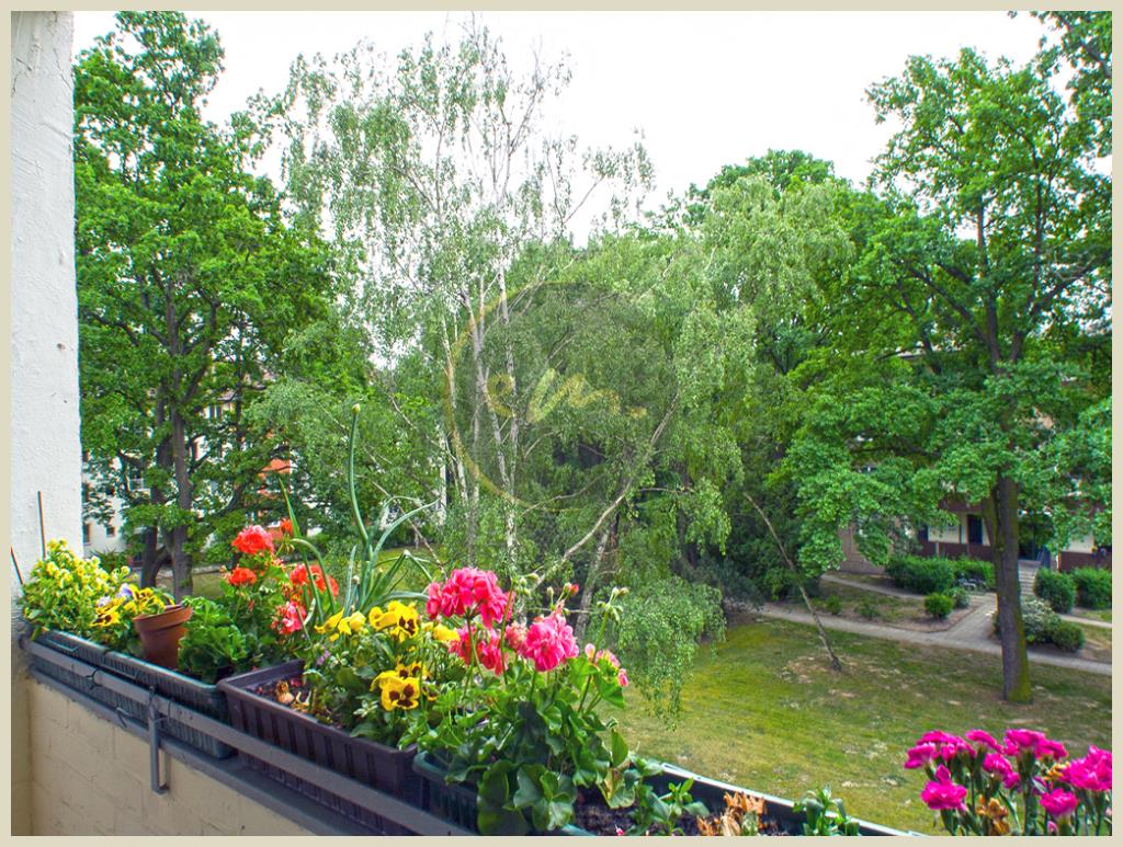 Berlin - Berlin-Siemensstadt: Helle Etagenwohnung, Balkon mit Südausrichtung zum Gemeinschaftsgarten